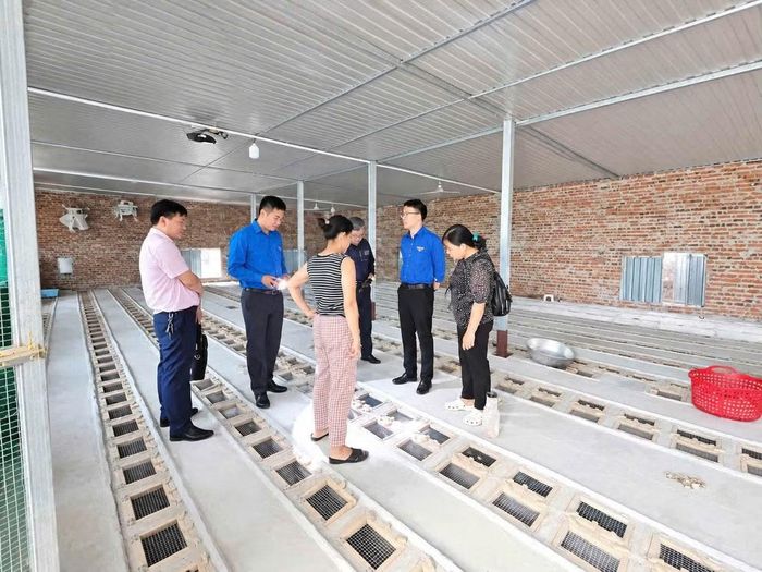 Kiểm tra mô hình nuôi rắn