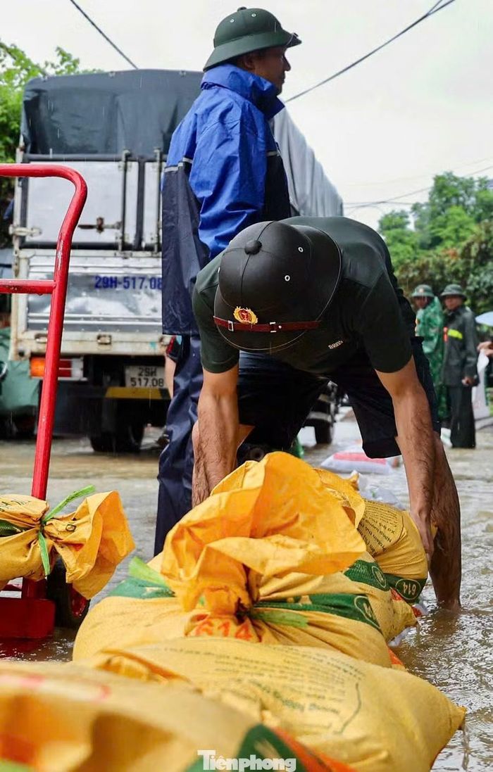 Vật nuôi cũng được khẩn trương di dời khỏi khu vực ngập.