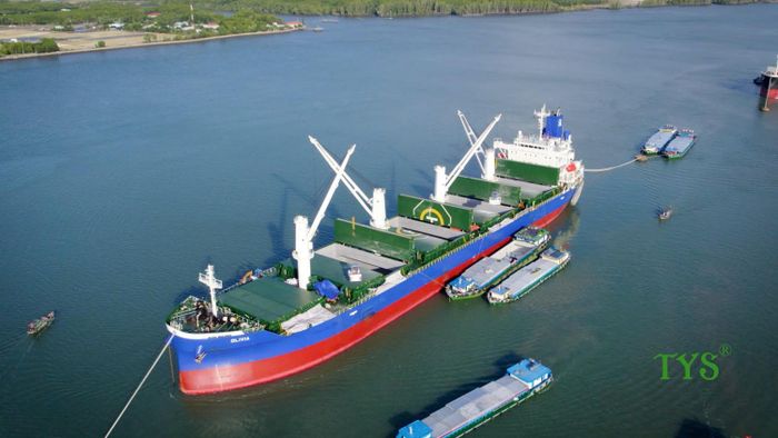 Sản phẩm chất lượng cao của Phân bón Cà Mau hiện diện tại hơn 20 quốc gia trên toàn thế giới.
