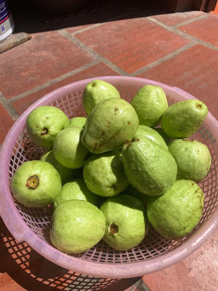Những bữa cơm nhà giúp chị thêm yên tâm vì lành, sạch 