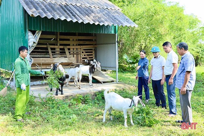Việc lựa chọn cây, con giống phù hợp với điều kiện của địa phương, gia đình góp phần quyết định thành công của mô hình sinh kế.