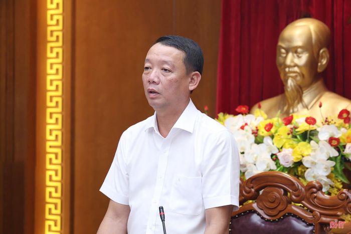 Đồng chí Phan Thiên Định - Phó Bí thư Tỉnh ủy, Chủ tịch UBND tỉnh phát biểu.