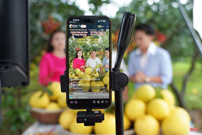 Phiên Mega Live triển khai nhiều chương trình khuyến mãi, thu hút người tiêu dùng.