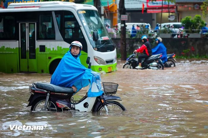 (Ảnh: Hoài Nam/Vietnam+)