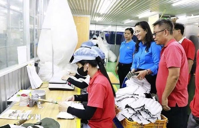 Trong 8 tháng đầu năm 2026, Cần Thơ thu hút 3 dự án FDI mới với tổng vốn đăng ký 25,22 triệu USD, nâng tổng số dự án FDI lên 125. (Ảnh: Tuấn Phi/TTXVN)