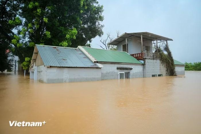 (Ảnh: Hoài Nam/Vietnam+)