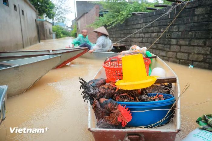 (Ảnh: Hoài Nam/Vietnam+)