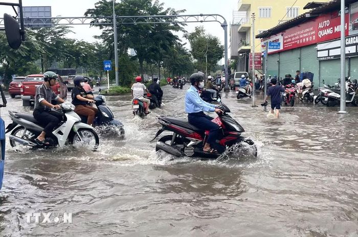 Triều cường dâng cao trên đường Phạm Hữu Lầu, Thành phố Hồ Chí Minh. (Ảnh: Hương Giang/TTXVN)