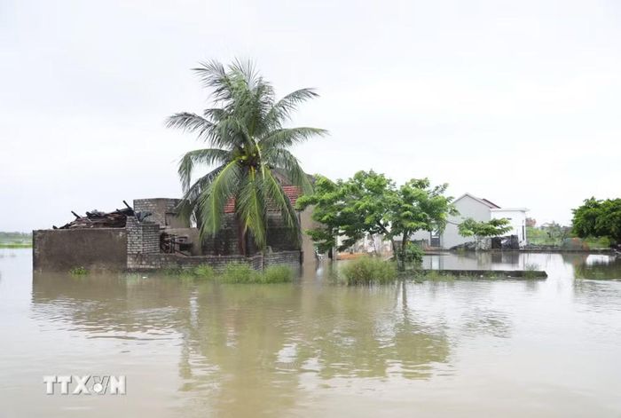 Mưa lớn kéo dài từ đêm 15 đến rạng sáng 16/9 khiến nhiều địa phương tại Nghệ An xảy ra ngập lụt, nhất là tại các khu vực trũng thấp. (Ảnh: Xuân Tiến/TTXVN)