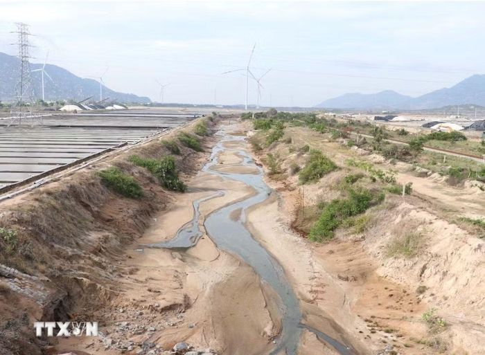 Nước biển từ ruộng muối thẩm thấu xuống mương tiêu thoát đã gây nhiễm mặn, làm hư hại tài sản của người dân vùng dự án ở xã Thuận Nam). (Ảnh: Công Thử/TTXVN)