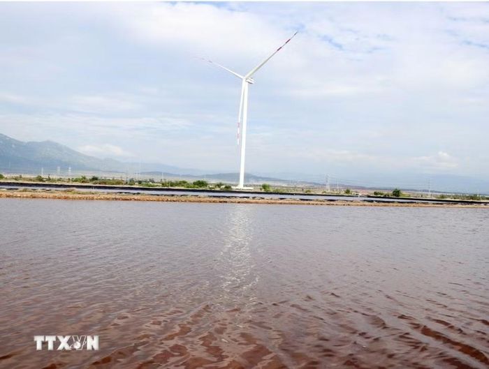 Khu dự trữ nước biển để làm muối ở vị trí cao rất dễ tràn và thẩm thấu, dễ gây nhiễm mặn. (Ảnh: Công Thử/TTXVN)