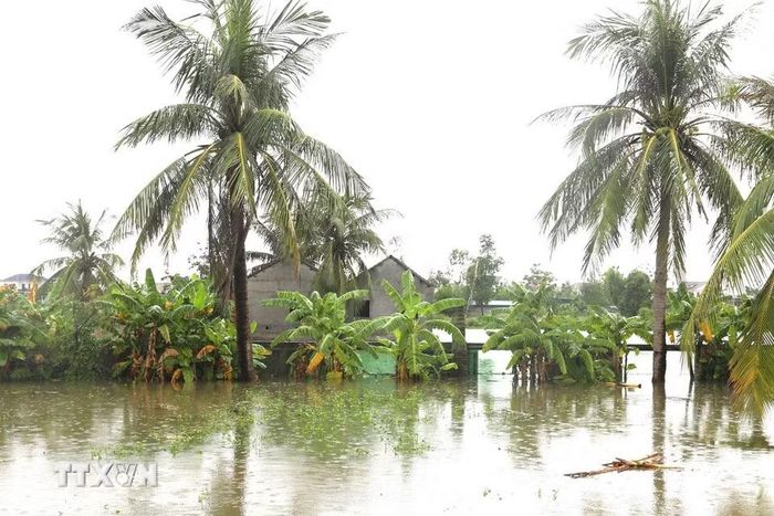 Nhà dân ở khu vực tiếp giáp đồng ruộng trên địa bàn xã Quỳnh Lưu (tỉnh Nghệ An) bị ngập sâu và cô lập tạm thời. (Ảnh: Xuân Tiến/TTXVN)