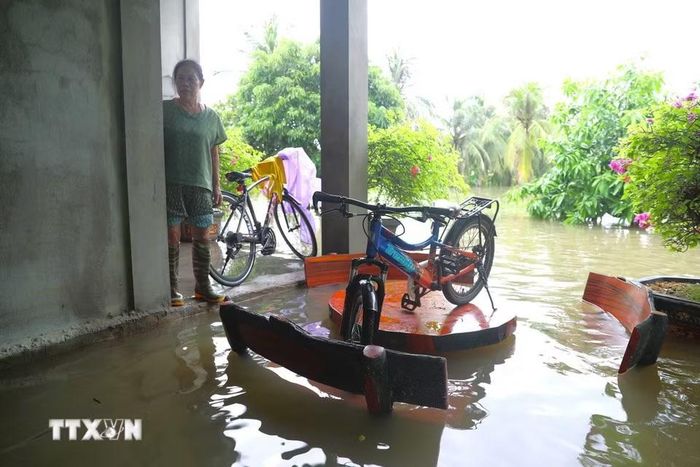 Dù móng nhà khá cao nhưng nước lũ dâng nhanh đã gần tràn vào nền nhà của một hộ dân. (Ảnh: Xuân Tiến/TTXVN)