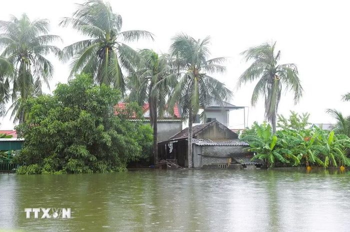 Khu dân cư bị ngập sâu, nhiều diện tích ao nuôi cá liền kề cũng bị tràn bờ gây thiệt hại kinh tế cho người dân Nghệ An. (Ảnh: Xuân Tiến/TTXVN)