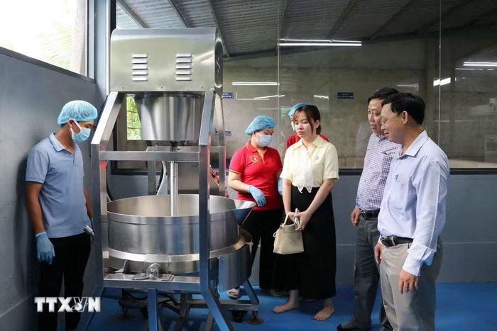 Lãnh đạo Trung tâm Khuyến công và Xúc tiến Thương mại Vĩnh Long nghiệm thu chảo sên mứt dừa dạng tay đảo. (Ảnh: Thanh Hòa/TTXVN)