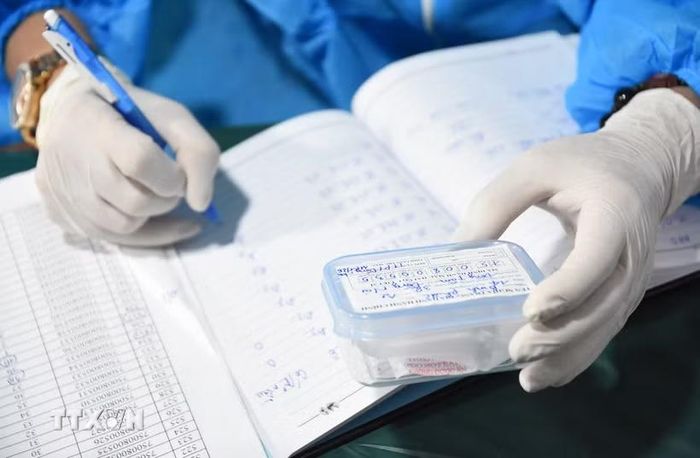 Toàn bộ quy trình lấy mẫu ADN hài cốt liệt sỹ được thực hiện nghiêm ngặt theo quy định, bảo đảm chính xác. (Ảnh: Đậu Tất Thành/TTXVN)