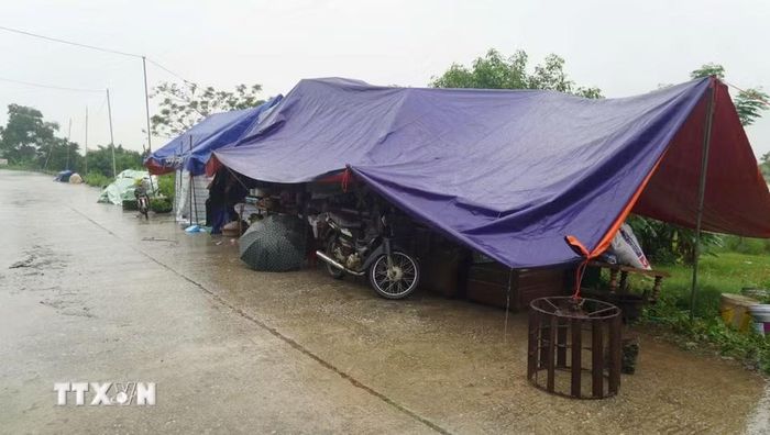Nhiều gia đình phải sơ tán cả người và tài sản lên đê để tránh lụt. (Ảnh: Hoa Mai/TTXVN)