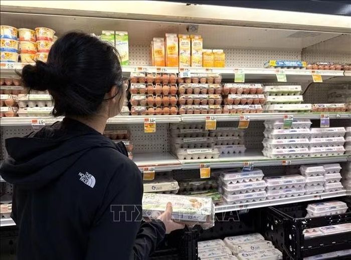 Người tiêu dùng mua trứng tại một siêu thị ở trung tâm Washington, D.C. (Mỹ). Ảnh: Ngọc Quang – PV TTXVN tại Mỹ·