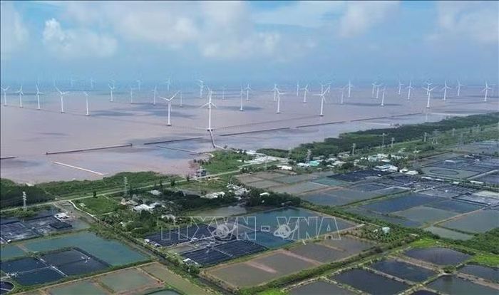 Dự án điện gió ngoài khơi ở xã Đông Hải, tỉnh Cà Mau.