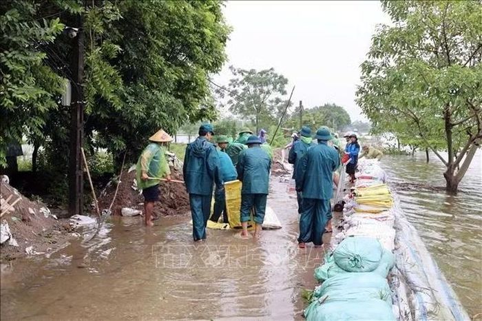 Các lực lượng chức năng và người dân xã Xuân Mai khẩn trương đắp đê ngăn nước sông tràn vào. Ảnh: Nguyễn Cúc/TTXVN