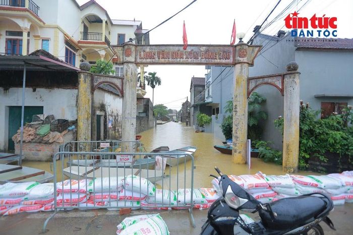 Tại thôn Đồng Dâu, nước sông Bùi dâng cao khiến nhiều tuyến đường trong khu dân cư ngập sâu.