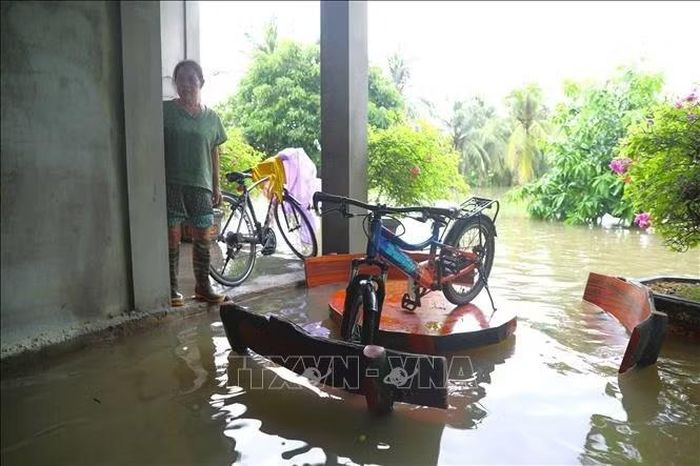 Dù móng nhà khá cao nhưng nước lũ dâng nhanh đã gần tràn vào nền nhà của một hộ dân.
