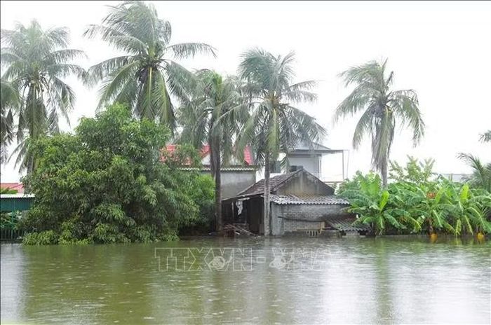 Khu dân cư bị ngập sâu, nhiều diện tích ao nuôi cá liền kề cũng bị tràn bờ gây thiệt hại kinh tế cho người dân Nghệ An.