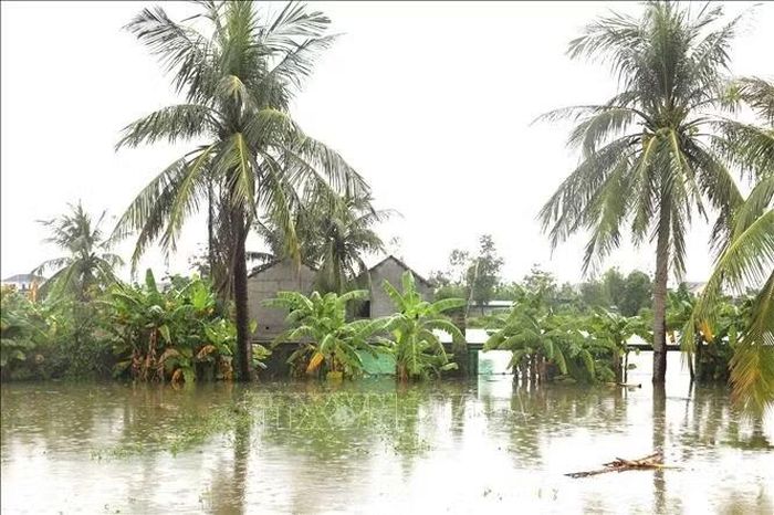 Nhà dân ở khu vực tiếp giáp đồng ruộng trên địa bàn xã Quỳnh Lưu (tỉnh Nghệ An) bị ngập sâu và cô lập tạm thời.