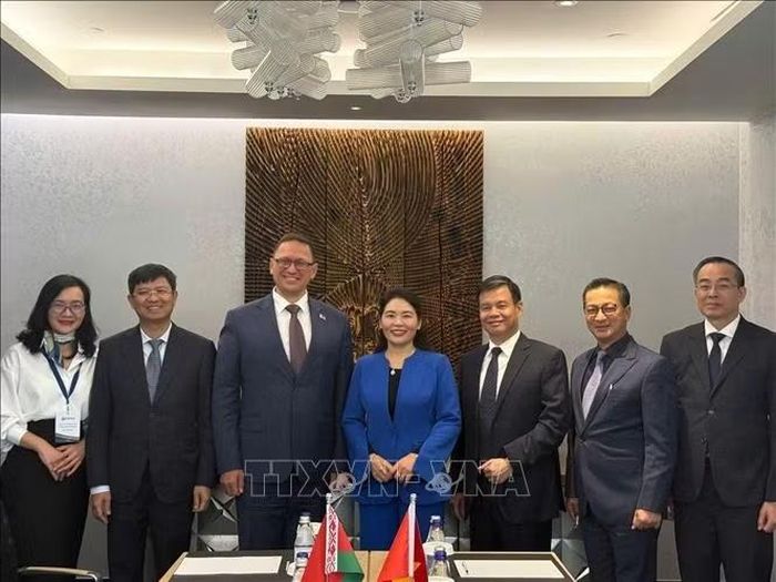 Đoàn KTNN Việt Nam làm việc với Cơ quan Kiểm soát Nhà nước Belarus. Ảnh: TTXVN phát