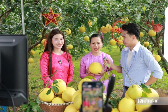 Chị Ân tự tin giới thiệu bưởi Phúc Trạch trên phiên livestream bán hàng.