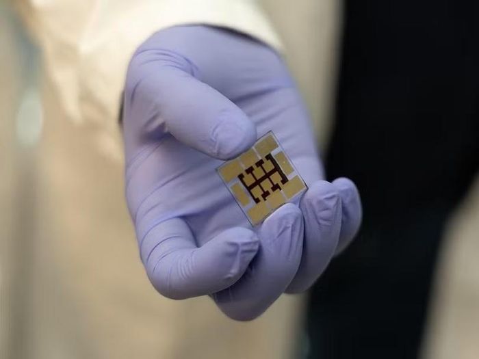 Vật liệu perovskite được phát triển để tạo điện từ ánh sáng trong nhà. Ảnh: David Kubarek/Penn State.