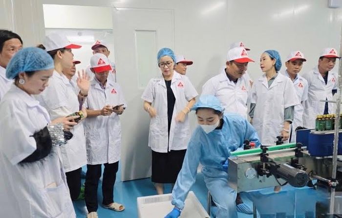 Bên trong nhà máy sản xuất của Công ty TNHH Phát triển Khoa học Quốc tế Trường Sinh. Ảnh: Bộ Công Thương
