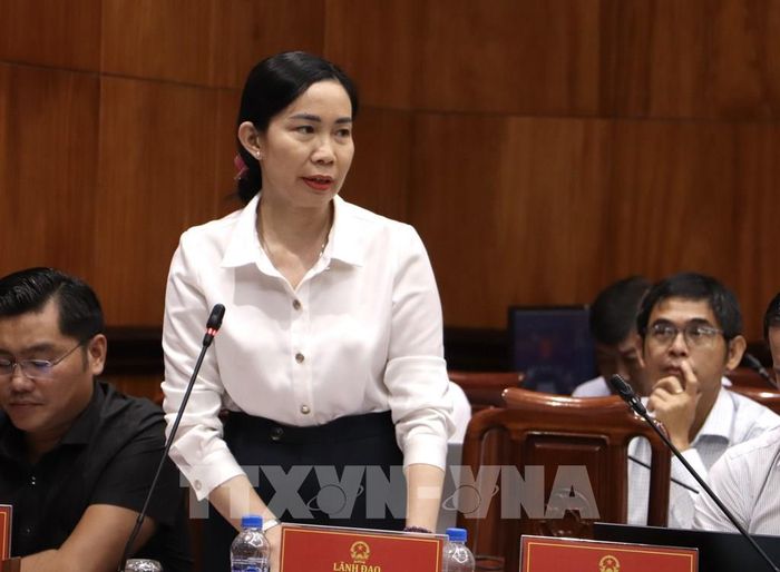 Đại diện Ban Quản lý dự án Đầu tư Xây dựng công trình Dân dụng và Công nghiệp tỉnh Đồng Tháp phát biểu tại buổi làm việc. Ảnh: Hồng Nhung - TTXVN