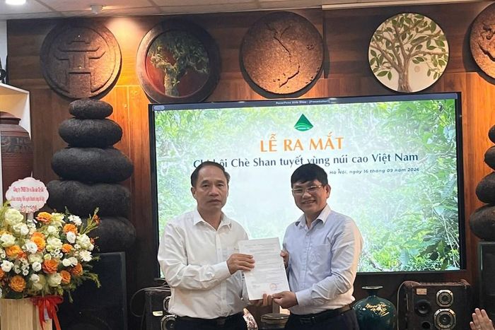 Chủ tịch hiệp hội chè Việt Nam - ông Hoàng Vĩnh Long bên phải trao quyết định chủ tịch chi hội chè shan núi cao VN cho ông Phạm Vũ Khánh (trái)