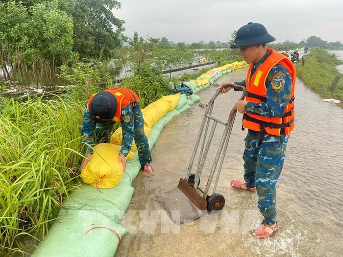 Chiến sĩ Tiểu đoàn 31, Lữ đoàn 28, Quân chủng Phòng không - Không quân ứng trực, bảo vệ tuyến đê sông Bùi tại xã Trần Phú. Ảnh: Hùng Mạnh - TTXVN