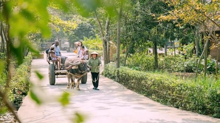 Du khách thưởng ngoạn cảnh đẹp làng quê ở Ninh Bình. Ảnh: báo Dân Việt