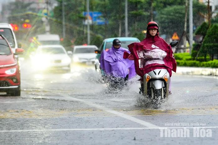 Tình trạng tương tự cũng được ghi nhận tại các tuyến Đinh Công Tráng, Nguyễn Trãi, Quang Trung. Mưa liên tục khiến hệ thống thoát nước tại một số vị trí không kịp tiêu thoát.