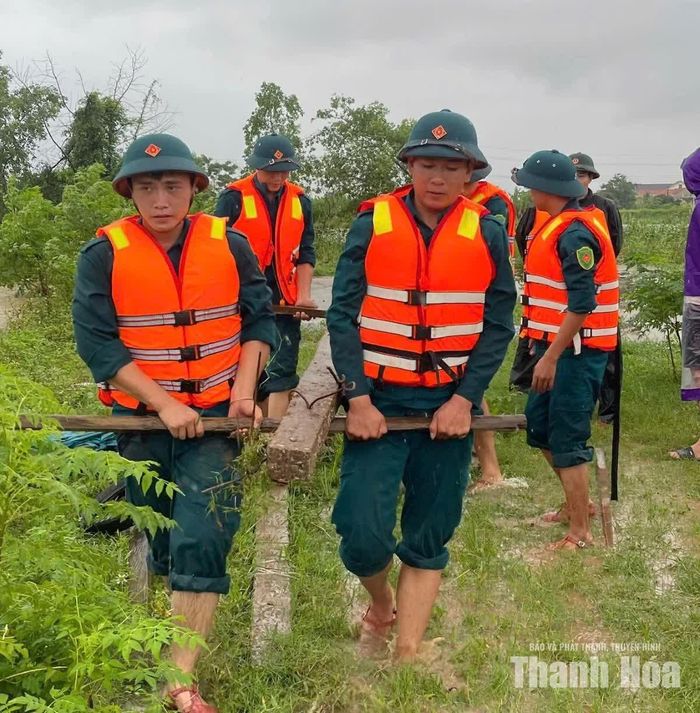 ĐVTN Chi đoàn Quân sự xã Vạn Lộc hỗ trợ gia cố đê sông Lèn.