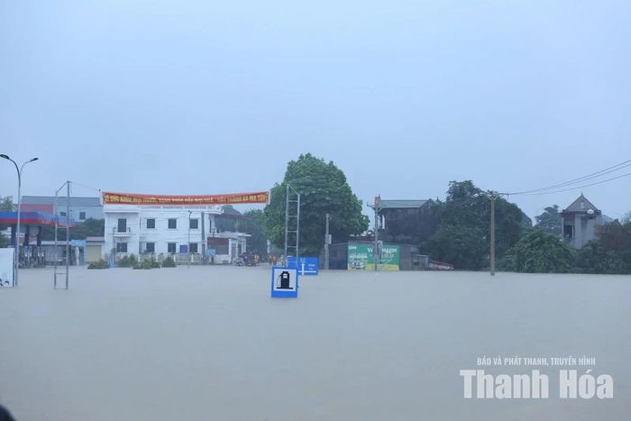Trên địa bàn xã Kim Tân hiện có 1.364 hộ với 5.698 nhân khẩu tại 10 thôn có nhà ở bị ngập.