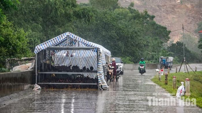 Đến sáng 17/9, 41 hộ dân đã được di dời an toàn. Bên cạnh đó, 24 hộ dân nằm trong diện theo dõi đã chủ động kê kích tài sản, lúa gạo, gia súc, gia cầm lên vị trí cao, sẵn sàng sơ tán nếu mực nước tiếp tục dâng.