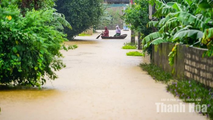 Trong bối cảnh mực nước sông Lèn đang lên cao liên tục, việc chủ động di dời người dân, bảo vệ tài sản, vật nuôi và tăng cường lực lượng ứng cứu đang được địa phương tập trung thực hiện, nhằm hạn chế thấp nhất những thiệt hại do mưa lũ gây ra.