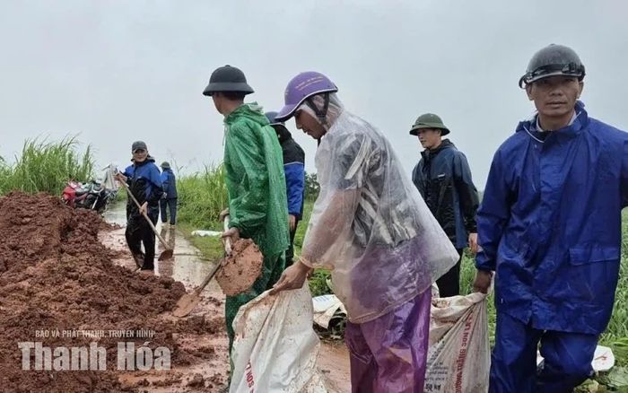 Lực lượng chức năng cùng người dân gia cố tuyến đê bao sông Cầu Chày, đoạn qua thôn 1, xã Xuân Tín.