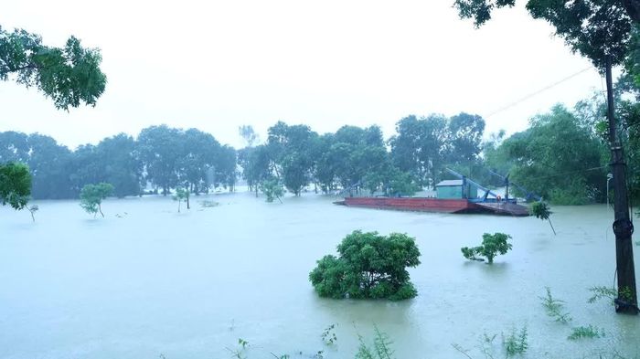 Khu vực phà Tiên Nông nước dâng cao tại thời điểm đoàn đi kiểm tra.