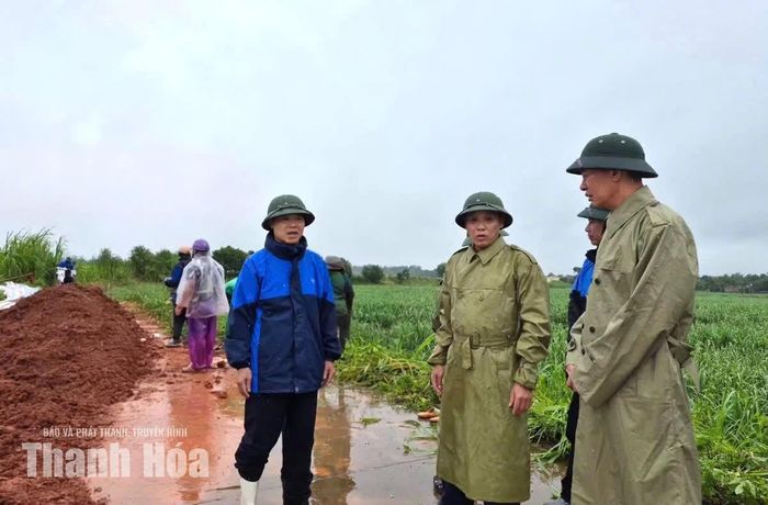 Phó Bí thư Tỉnh uỷ Trịnh Tuấn Sinh nghe báo cáo công tác hộ đê sông Cầu Chày đoạn qua địa bàn xã Xuân Tín.
