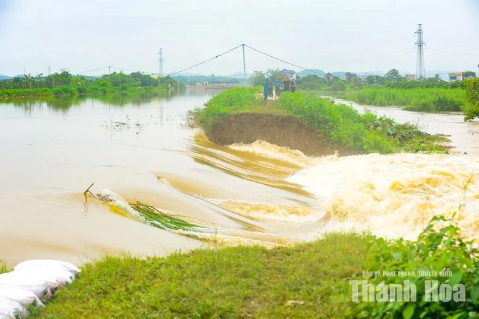 Sự cố xảy ra trong thời điểm nước sông Hoạt dâng cao, khiến việc xử lý đoạn bờ bị vỡ càng thêm khó khăn. Chênh lệch mực nước giữa phía ngoài sông và khu vực trong kênh còn lớn, nên việc đưa máy móc, nhân lực trực tiếp xuống vị trí sự cố để đắp lại bờ chưa thể thực hiện ngay.
