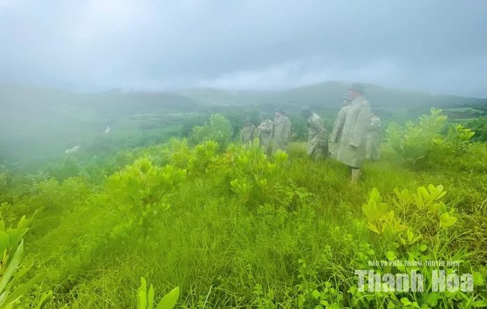 Phó Chủ tịch UBND tỉnh Cao Văn Cường cùng đoàn công tác kiểm tra vết nứt tại đồi Lau Ván thuộc địa phận bản Trí Nang, xã Linh Sơn.
