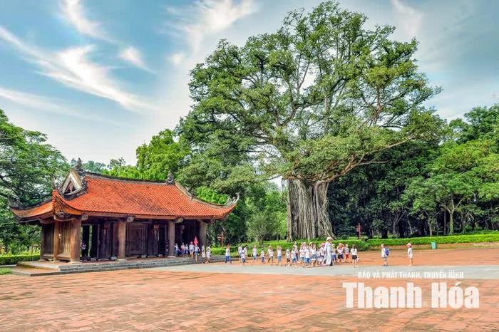 Giữa quần thể di tích gắn với lịch sử vương triều hậu Lê, “mối lương duyên” giữa cây đa và cây thị vì thế không chỉ là câu chuyện được truyền miệng. Đó còn là một dấu tích sống của thời gian, góp thêm một nét riêng cho vùng đất Lam Sơn mỗi khi du khách tìm về - Phó Giám đốc Ban Quản lý di sản Thành nhà Hồ và các di tích trọng điểm tỉnh Thanh Hóa Bùi Ánh Tuyết nhấn mạnh.