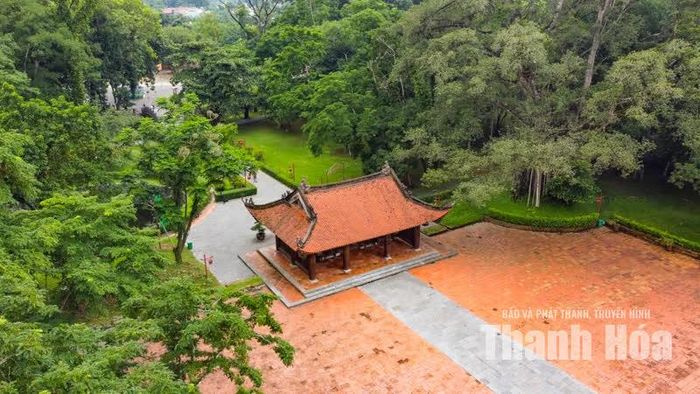 Theo Ban Quản lý di sản Thành nhà Hồ và các di tích trọng điểm của tỉnh Thanh Hóa, cây đa hiện cao hàng chục mét, thân lớn, tán rộng cùng hệ thống rễ phát triển mạnh. Từ trên cao, tán cây tạo thành một mảng xanh nổi bật giữa không gian sân chầu của chính điện Lam Kinh.
