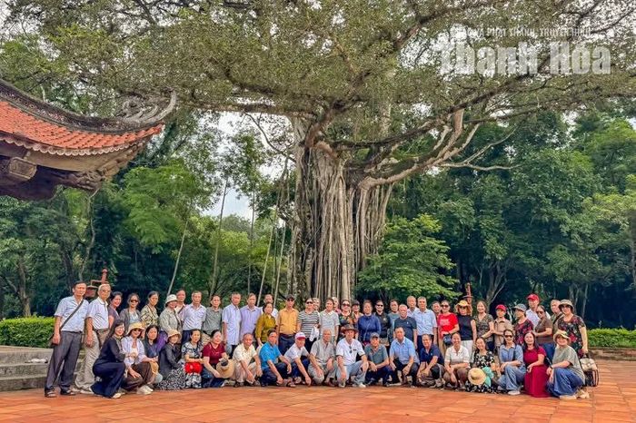 Theo chị Thức, nhiều du khách liên tưởng nhánh thị mới mọc như dấu hiệu cây vẫn tiếp tục sinh trưởng qua thời gian. Khi đến Lam Kinh, du khách thường dừng bên cây để quan sát bộ rễ, chụp ảnh và nghe kể câu chuyện dân gian về cái tên “đa - thị”. Với hướng dẫn viên, cây cổ thụ có hình dáng độc đáo trở thành điểm nhấn tự nhiên, giúp hành trình khám phá Lam Kinh thêm gần gũi, bên cạnh những câu chuyện về triều hậu Lê, lăng mộ và điện miếu.