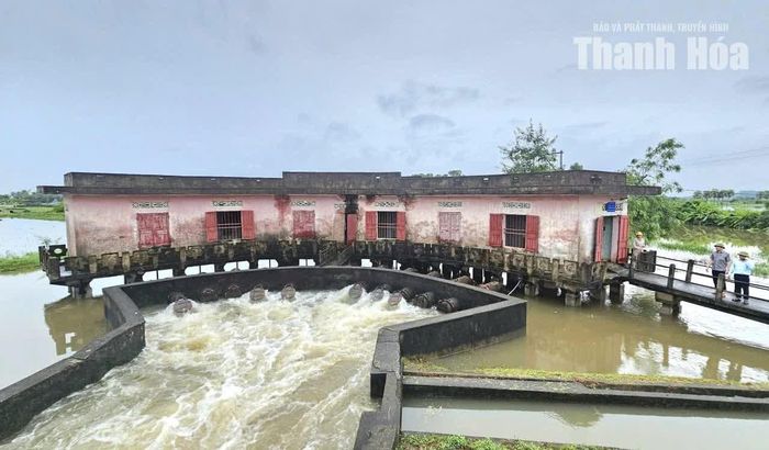 Trưởng Ban Quản lý Khu Kinh tế Nghi Sơn và các Khu công nghiệp tỉnh kiểm tra công tác tiêu úng tại Trạm bơm tưới tiêu Trường Trung, xã Trường Văn